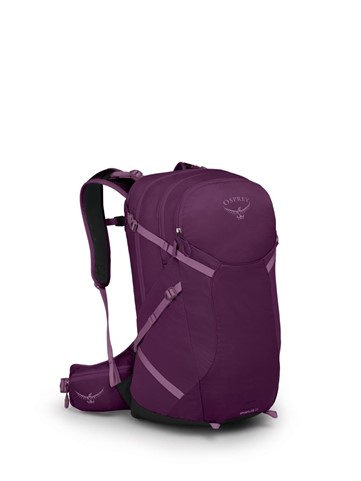 תיק גב SPORTLITE 25