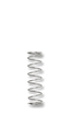 קפיץ פנימי למשאבה Spring - Non return valve in pump